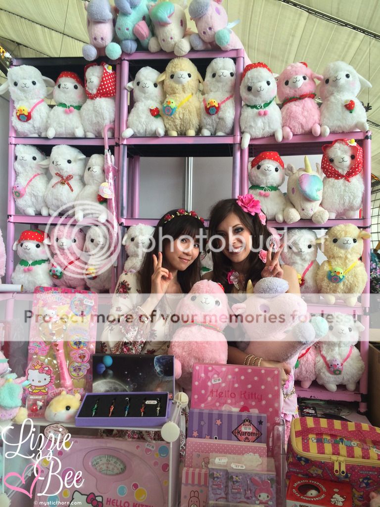 love jojo alpaca