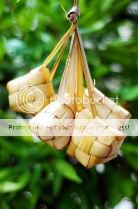 Ketupat Pictures, Images and Photos
