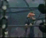 thRvd_Tribute18.gif Super Five Star Frog Splash! image by Mironperu