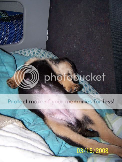 March2008-2018.jpg