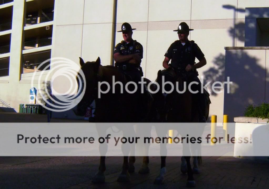 Dallas Police Pictures, Images and Photos