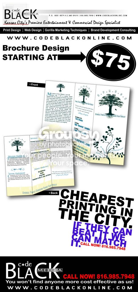 Myspace Brochure Ad